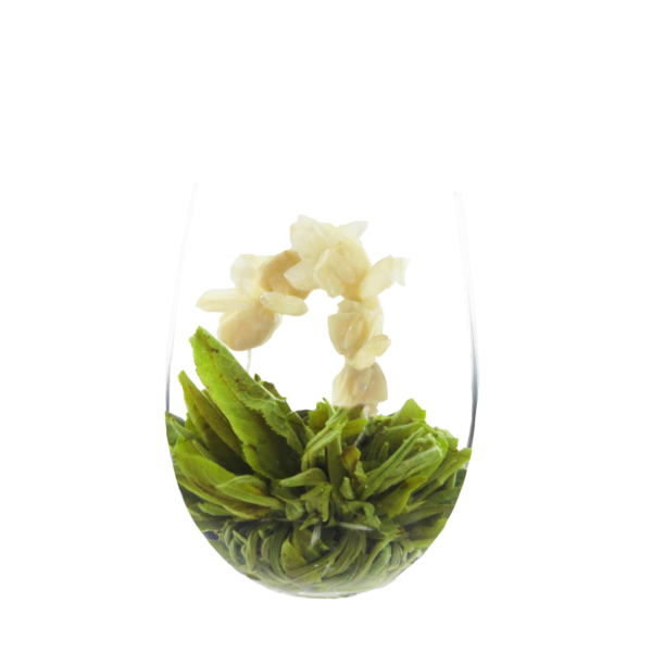 Amour de jasmin